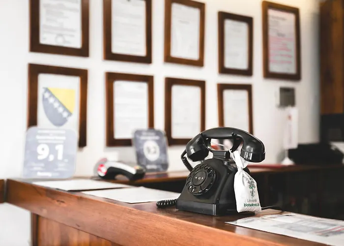 Garni By Blanket Collection